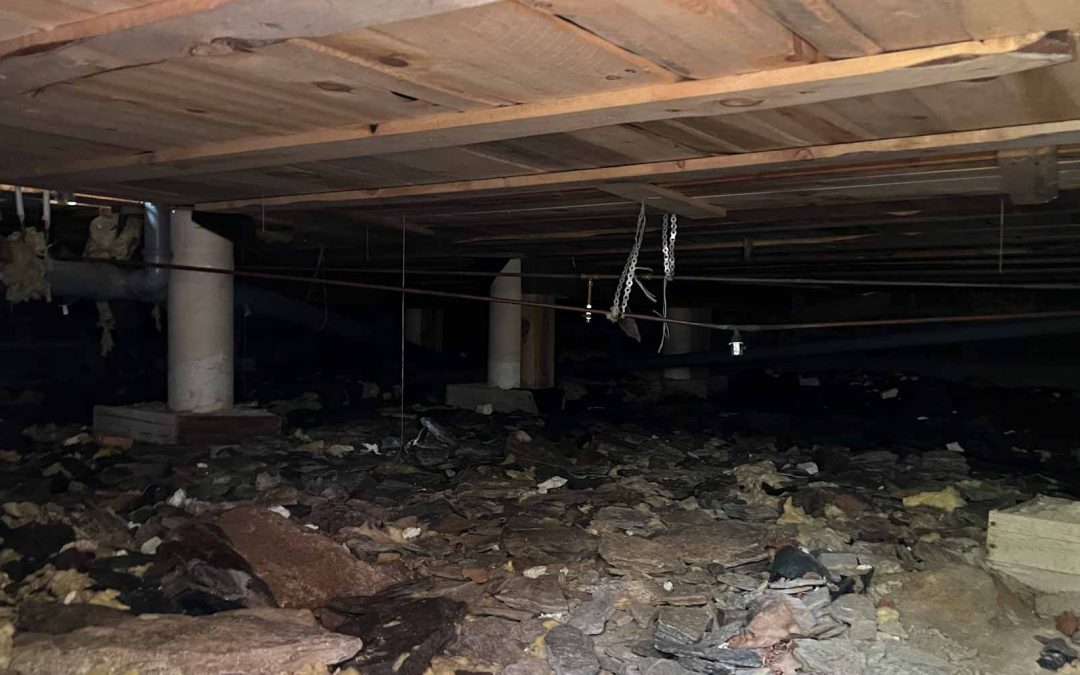 Agera i tid – krypgrundsbesiktning kan spara stora pengar
